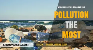 Plastics Polluting Our Planet: The Worst Offenders