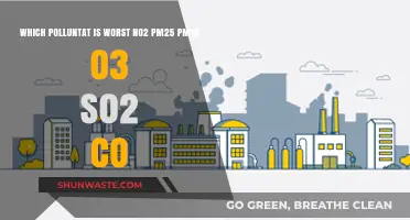 Air Pollutants: The Most Dangerous Killers