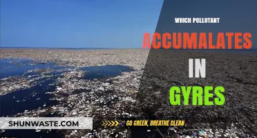 Plastic Pollution: The Gyre's Accumulating Menace