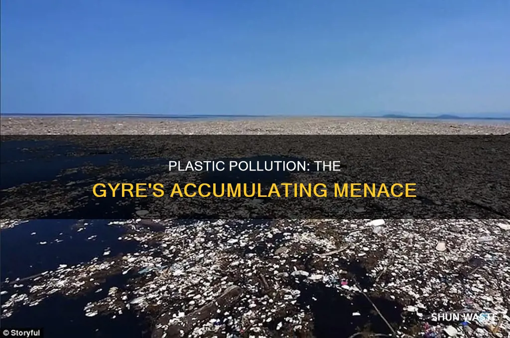 which pollutant accumalates in gyres