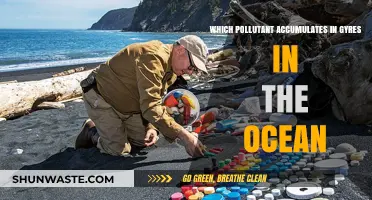 Plastic Pollution: The Ocean's Gyre Accumulation Mystery