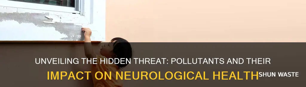 which pollutant can cause neurological problems