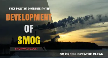 Air Pollution: Understanding Smog and Its Causes