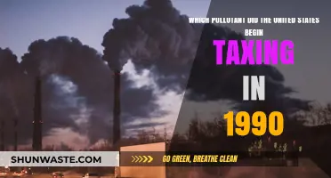 How the US Tackled Pollution with a Tax