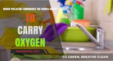 How Pollutants Affect Your Body's Oxygen Levels