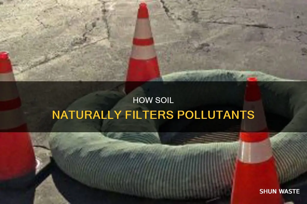 which pollutant dissovls and filter throguh the soil