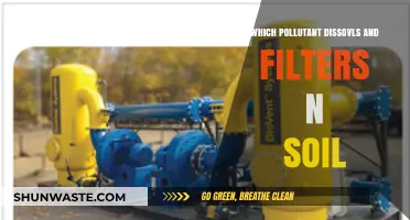 Soil's Role in Filtering and Dissolving Pollutants