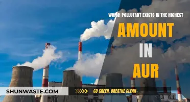 Air Quality Alert: Most Harmful Pollutant in Our Air