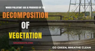 The Mystery of Vegetation Decay: Unveiling Toxic Gas