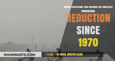 Air Quality: Pollutant Reduction Success Story Since 1970