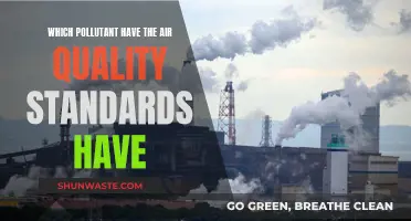 Air Quality Standards: Pollutants and Their Impact