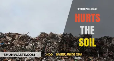 Soil Pollution: Understanding the Main Culprits and Their Impact