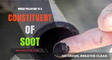 Soot and its Harmful Pollutant Components