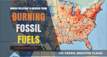 Fossil Fuel Emissions: Understanding the Pollutants We Breathe