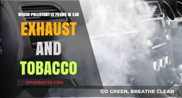 Car and Tobacco Exhaust: A Deadly Cocktail