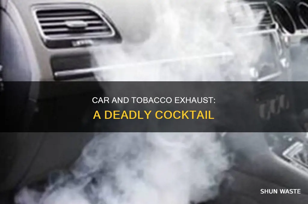 which pollutant is found in car exhaust and tobacco