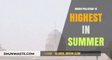 Summer's Air: The Highest Pollutant Levels Revealed