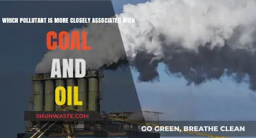 Coal and Oil: The Pollutant Connection