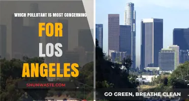 Los Angeles' Air Quality Crisis: The Most Alarming Pollutant Revealed