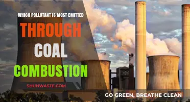 Coal Combustion's Top Pollutant: Unveiling the Most Emitted Contaminant