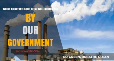 Neglected Pollutant: Government Oversight Falling Short in Controlling [Pollutant Name]