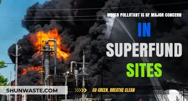 Superfund Sites: Identifying the Most Dangerous Pollutants Threatening Communities