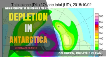 Chlorofluorocarbons: The Primary Culprit Behind Antarctica's Ozone Depletion