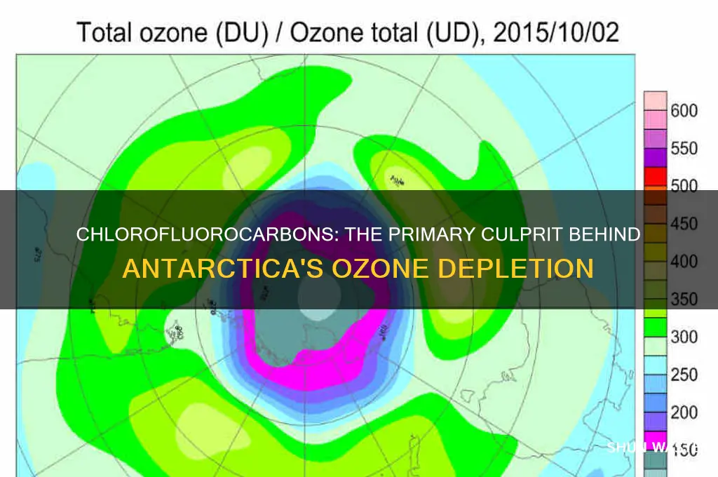 which pollutant is responsible for ozone depletion in antarctica