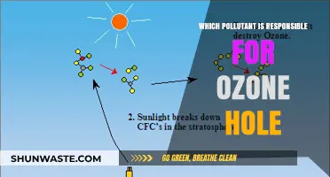 Chlorofluorocarbons: The Primary Culprit Behind the Ozone Hole Crisis