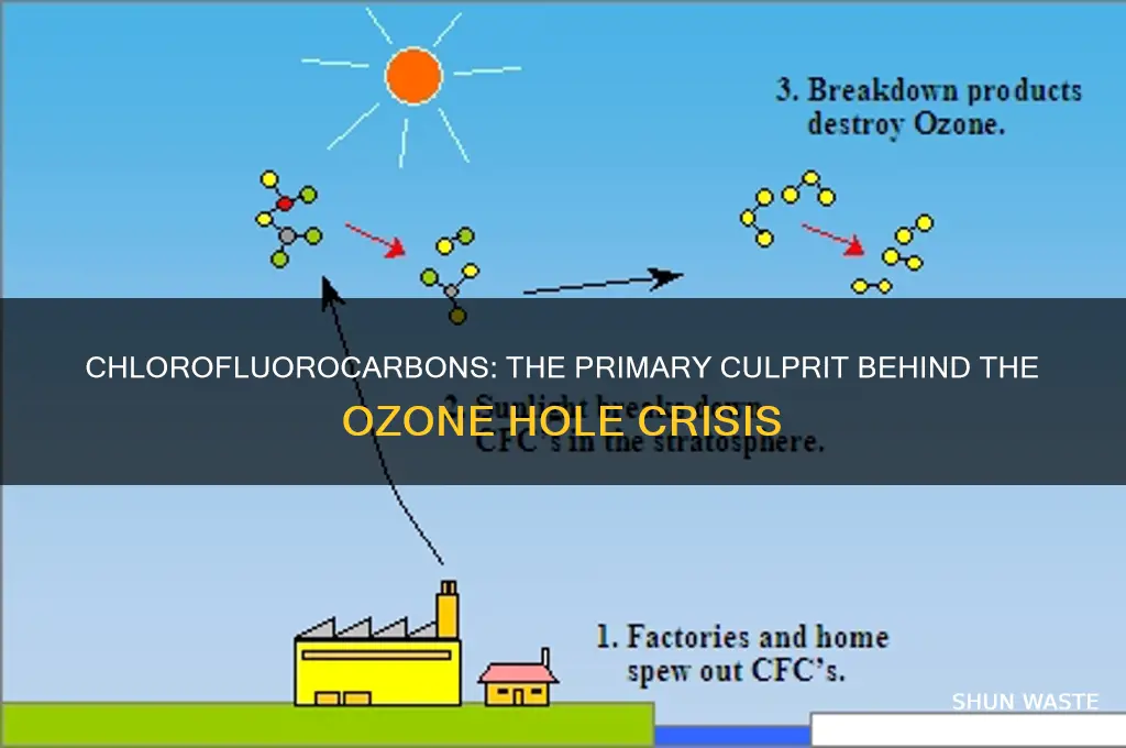 which pollutant is responsible for ozone hole