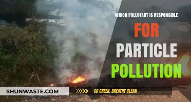 Unveiling the Culprit: Which Pollutant Causes Particle Pollution?
