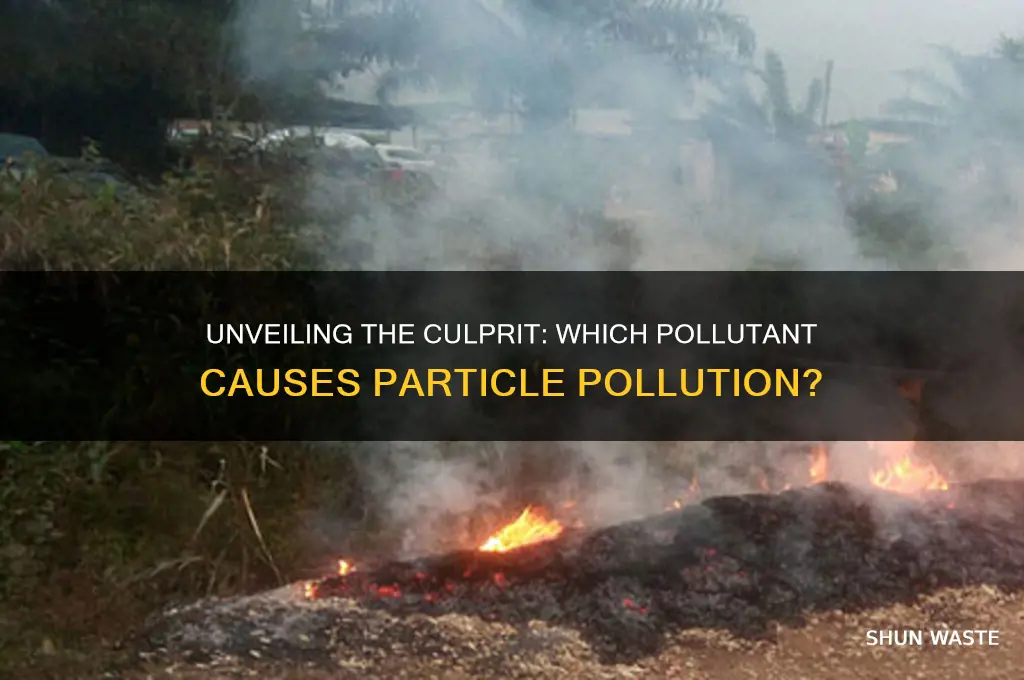 which pollutant is responsible for particle pollution