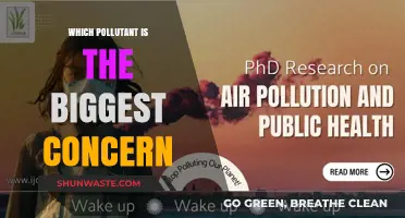 Air Quality Crisis: Identifying the Most Dangerous Pollutant Threatening Our Health