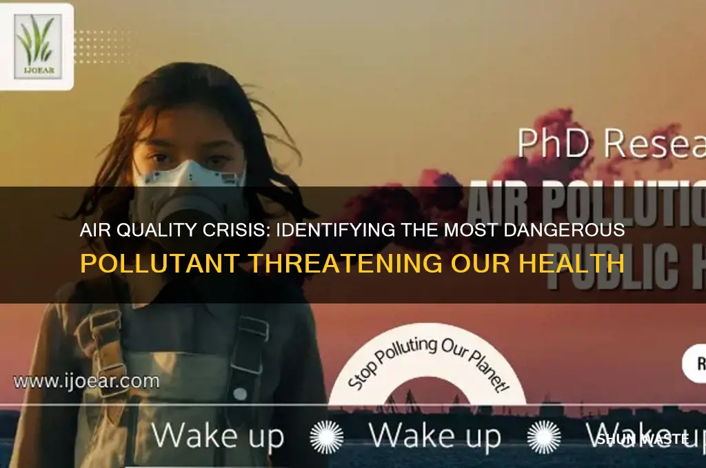 which pollutant is the biggest concern