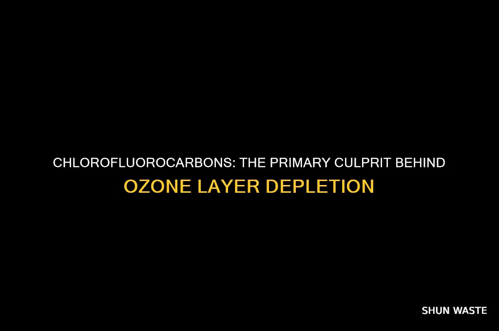 which pollutant is the main ozone destroyer