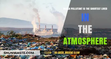 Shortest-Lived Atmospheric Pollutant: Unveiling the Briefest Environmental Contaminant