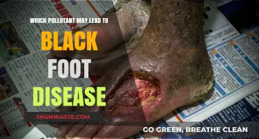 Black Foot Disease: Unveiling the Pollutant Behind the Devastating Condition