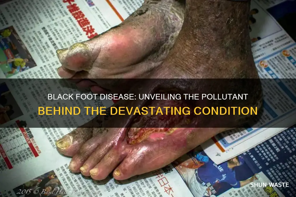 which pollutant may lead to black foot disease
