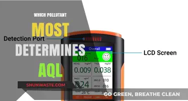 Key Pollutant Impacting Air Quality Index: Unveiling the AQI Determinant