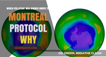 Why the Montreal Protocol Banned Ozone-Depleting Chlorofluorocarbons (CFCs)