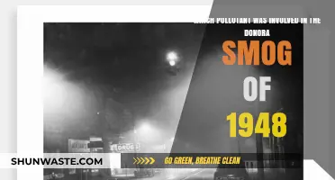 Donora Smog Disaster: Unveiling the Toxic Pollutant of 1948