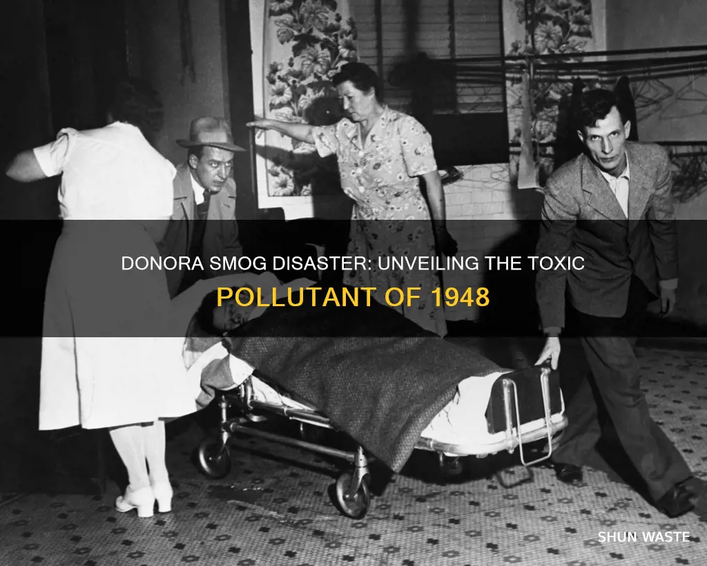 which pollutant was involved in the donora smog of 1948