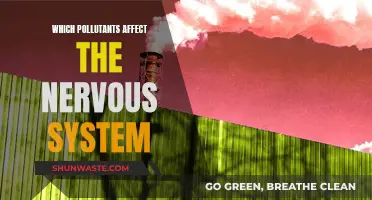 Neurotoxins: Pollutants That Harm Your Nervous System