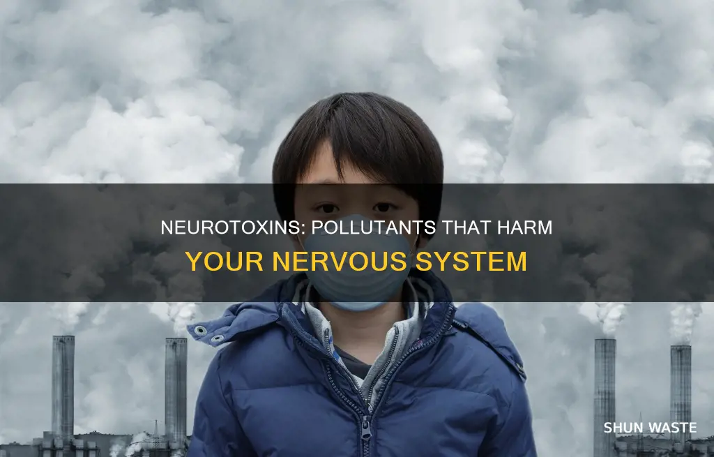 which pollutants affect the nervous system