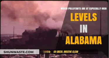 Alabama's Air Quality Crisis: Uncovering the Most Prevalent Pollutants