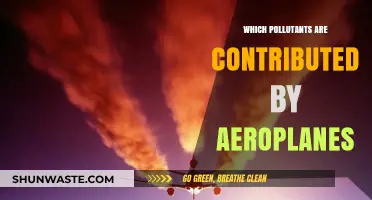 Airplane Emissions: Uncovering the Pollutants Released by Aircraft