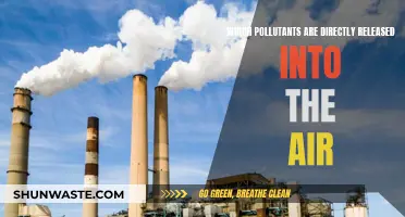 Air Pollutants: What's Released Directly into the Air?