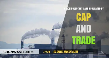 Cap and Trade: Regulating Key Pollutants for a Greener Future