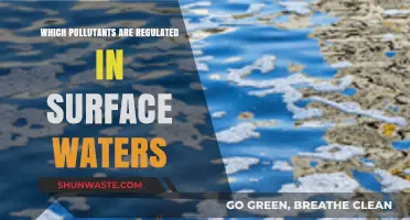 Regulated Surface Water Pollutants: Understanding Key Contaminants and Standards