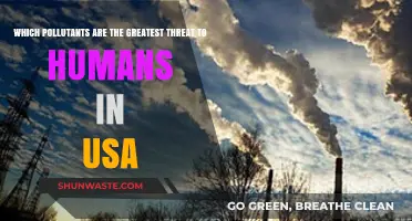 Deadly Air: Top Pollutants Threatening Human Health in the USA